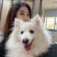 可能是 1 人和動物的圖像