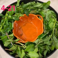 可能是文字的圖像