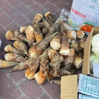可能是香菇、羊肚蕈菇、馬勃菇、蘑菇和文字的圖像