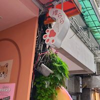未提供相片說明。