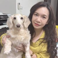 未提供相片說明。