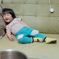未提供相片說明。