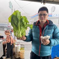 未提供相片說明。