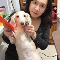 未提供相片說明。
