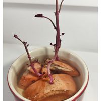 未提供相片說明。