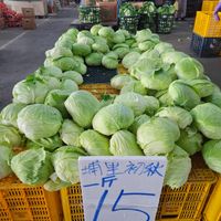 未提供相片說明。