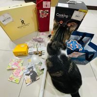未提供相片說明。