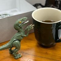 未提供相片說明。