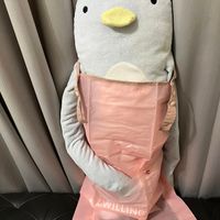未提供相片說明。