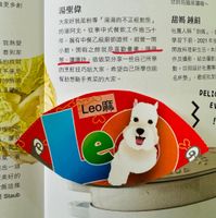 未提供相片說明。