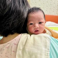 未提供相片說明。