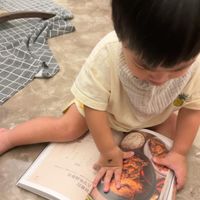 未提供相片說明。