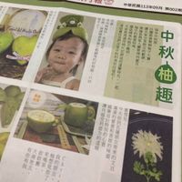 未提供相片說明。