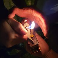 未提供相片說明。