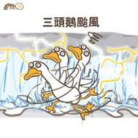 未提供相片說明。