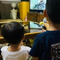 未提供相片說明。