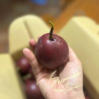 未提供相片說明。
