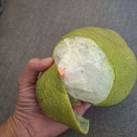 未提供相片說明。