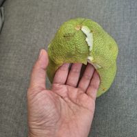未提供相片說明。