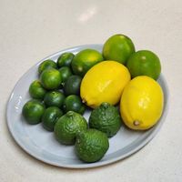 未提供相片說明。