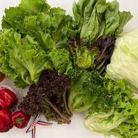 未提供相片說明。