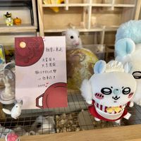 未提供相片說明。