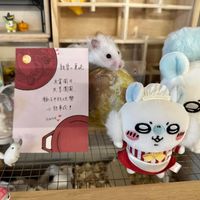 未提供相片說明。