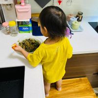 未提供相片說明。
