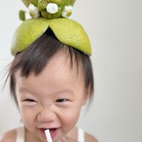 未提供相片說明。