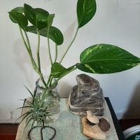 未提供相片說明。