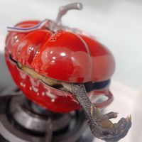 未提供相片說明。