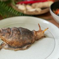未提供相片說明。
