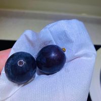 未提供相片說明。