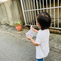 未提供相片說明。