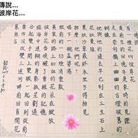 未提供相片說明。