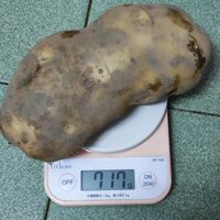 未提供相片說明。