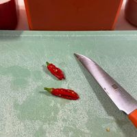 未提供相片說明。