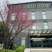 未提供相片說明。