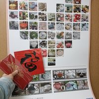 未提供相片說明。