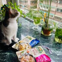 未提供相片說明。