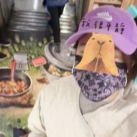 未提供相片說明。
