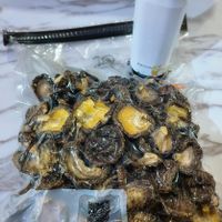未提供相片說明。