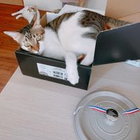 未提供相片說明。