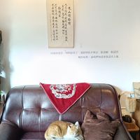 未提供相片說明。