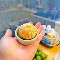 未提供相片說明。
