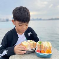 未提供相片說明。