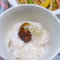 未提供相片說明。