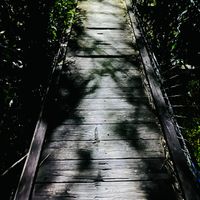 未提供相片說明。