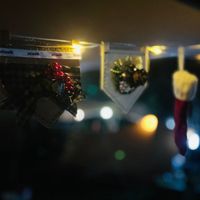 未提供相片說明。