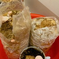 未提供相片說明。